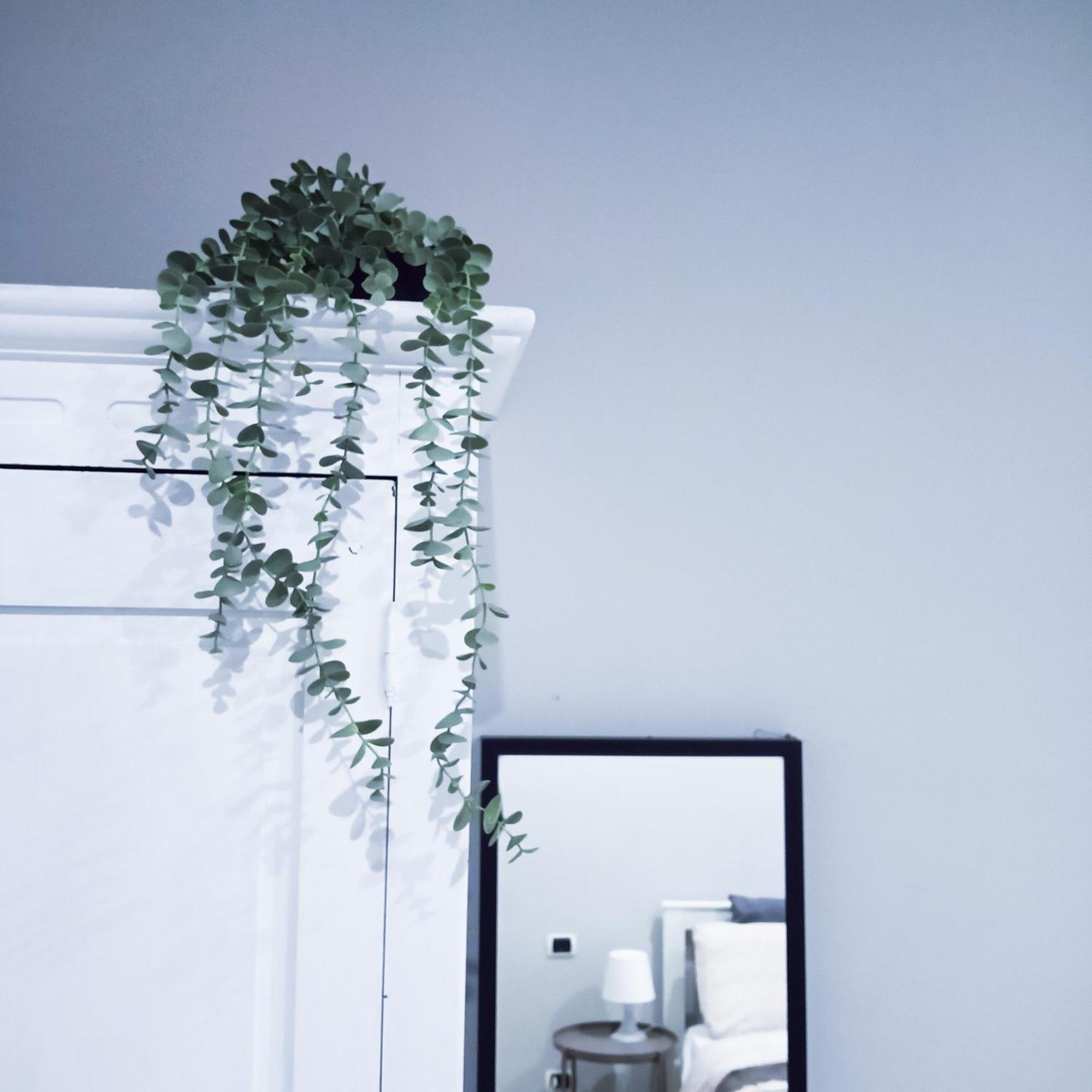 Candia Sweet Home روما المظهر الخارجي الصورة
