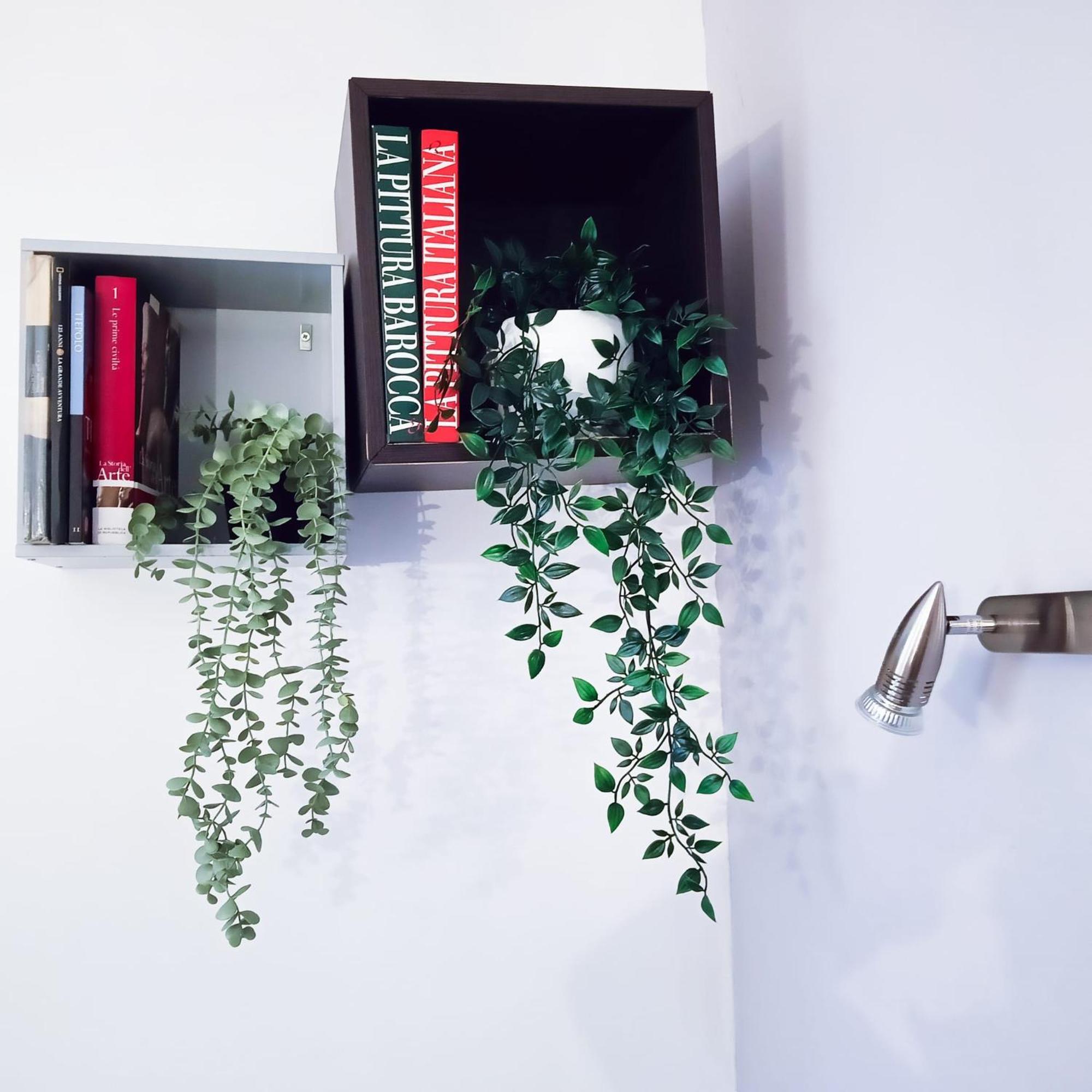 Candia Sweet Home روما المظهر الخارجي الصورة